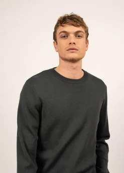 Saint James Jumpers & Cardigans*Cruiser round neck jumper Vegetal