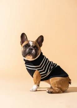 Saint James Dog Accessories*The Toutoupull Navy/ecume